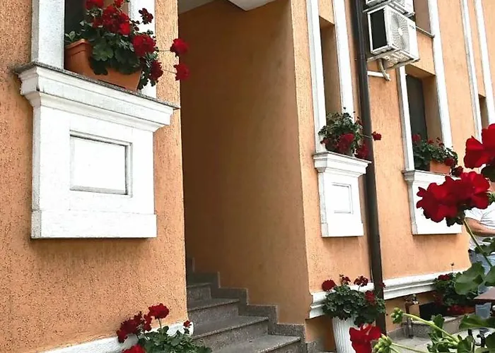 Bucur 9
